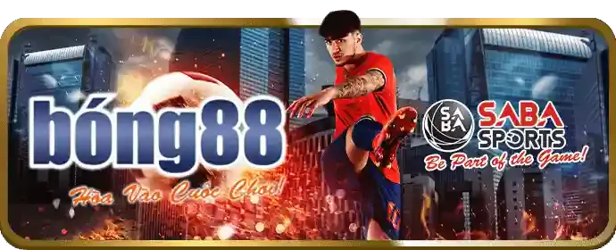 Hỗ trợ khách hàng 868vip1